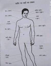 मस्तिष्क रेखा एवं शरीर