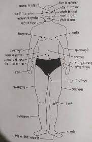 शरीर पर ग्रह प्रभाव